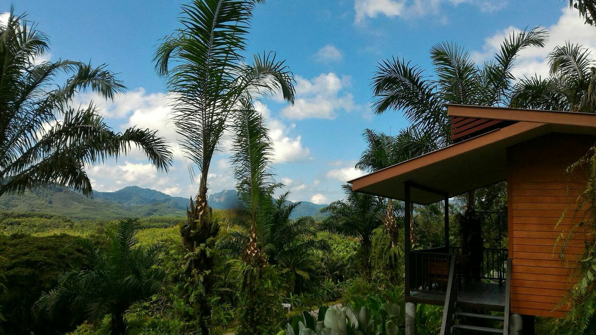 Khao Sok Horizon Hotel Phanom Eksteriør billede